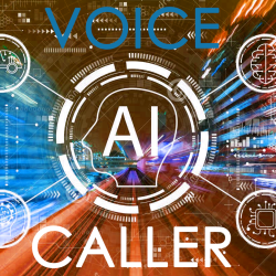 AI Voice Caller Pk: Starter