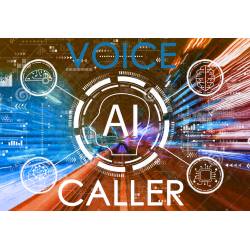 AI Voice Caller Pk: Starter
